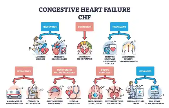 Understanding of Nursing Care Plan for Heart Failure (CHF)